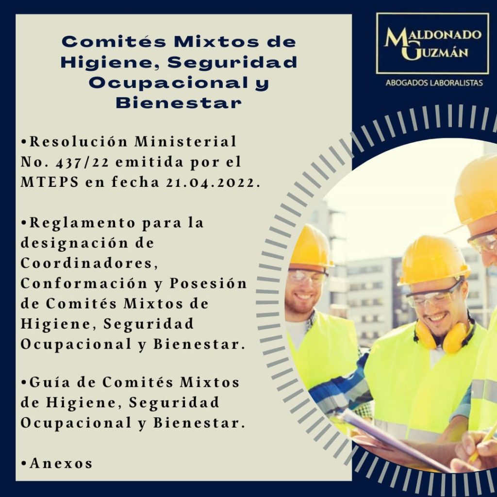 COMITES MIXTOS